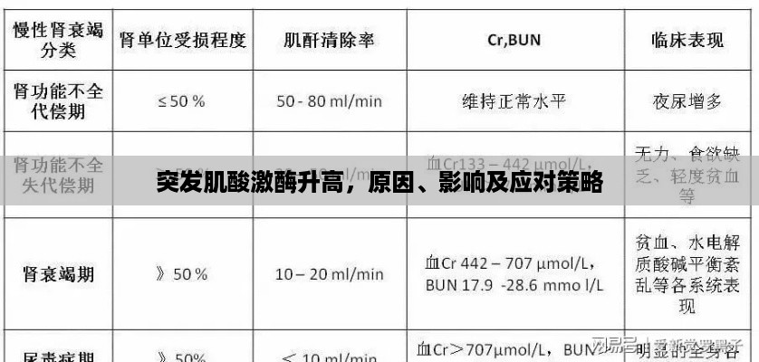 突发肌酸激酶升高，原因、影响及应对策略