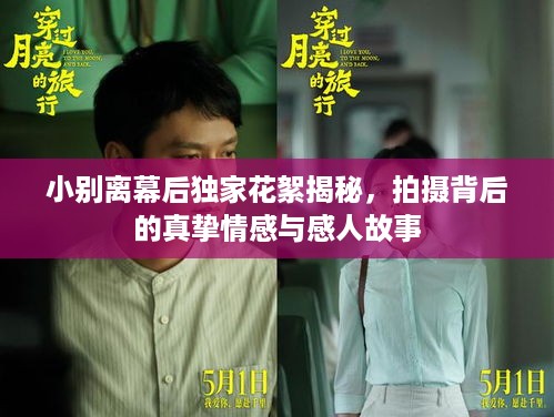 贵险贱璧