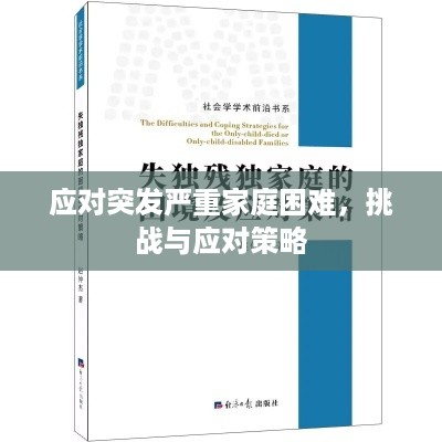 应对突发严重家庭困难，挑战与应对策略