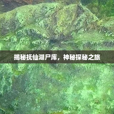 揭秘抚仙湖尸库，神秘探秘之旅