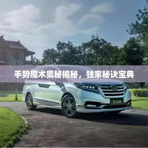手势魔术奥秘揭秘，独家秘诀宝典