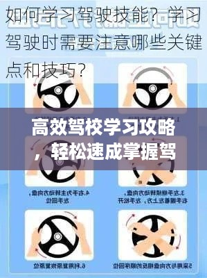 高效驾校学习攻略，轻松速成掌握驾驶技巧