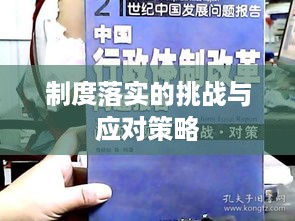 制度落实的挑战与应对策略