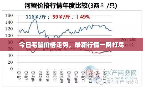 今日毛蟹价格走势，最新行情一网打尽