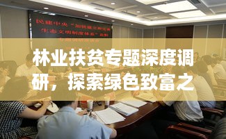 林业扶贫专题深度调研，探索绿色致富之路