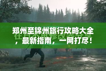 郑州至锦州旅行攻略大全，最新指南，一网打尽！