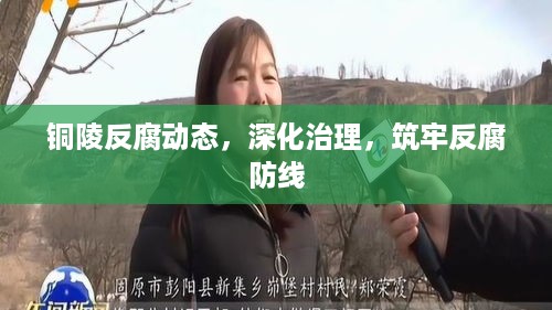铜陵反腐动态，深化治理，筑牢反腐防线