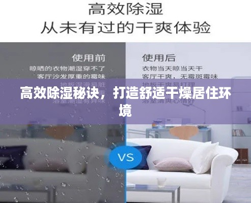 高效除湿秘诀，打造舒适干燥居住环境