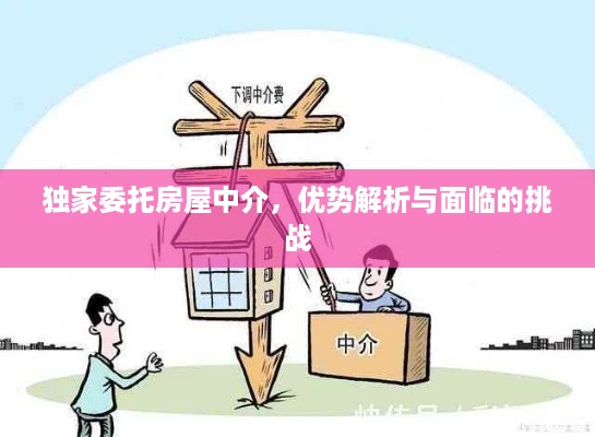 独家委托房屋中介，优势解析与面临的挑战