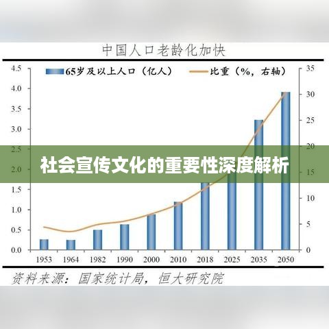 社会宣传文化的重要性深度解析