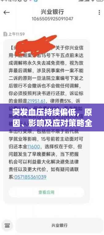 突发血压持续偏低，原因、影响及应对策略全解析
