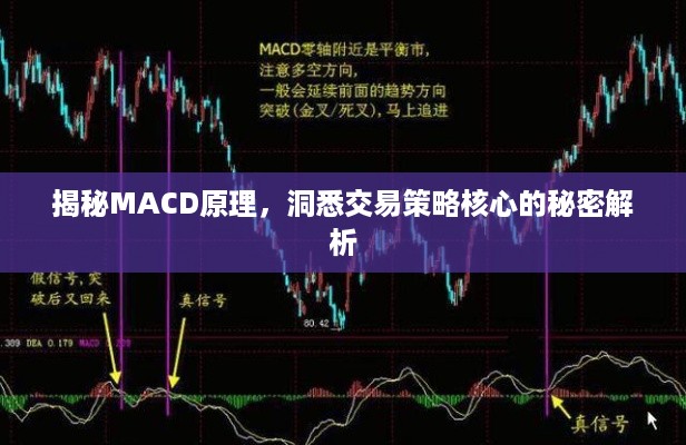 揭秘MACD原理，洞悉交易策略核心的秘密解析