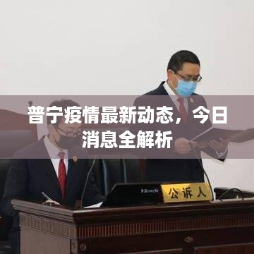 普宁疫情最新动态，今日消息全解析